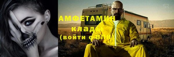 прущие грибы Лабытнанги