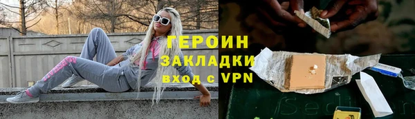 прущие грибы Лабытнанги