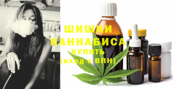 прущие грибы Лабытнанги