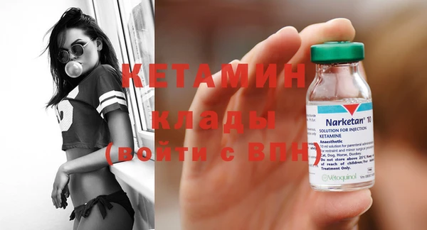 прущие грибы Лабытнанги