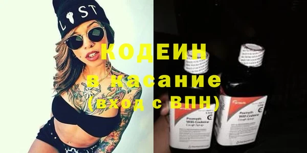 прущие грибы Лабытнанги