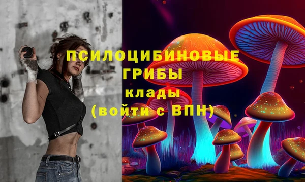 прущие грибы Лабытнанги