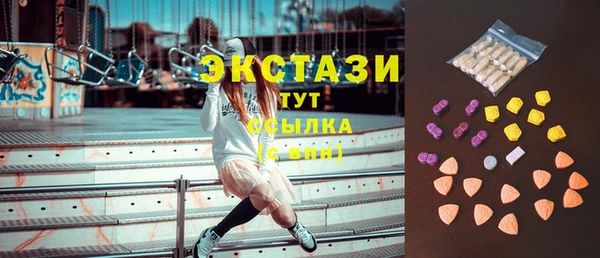 прущие грибы Лабытнанги