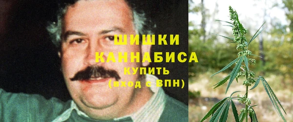 прущие грибы Лабытнанги